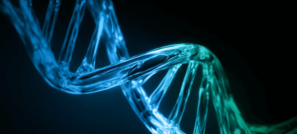 HIPAA 2026 Preparation Checklist What Healthcare Enterprises Must Implement Before February 2026 | IMS GBS HIPAA 2026 Preparation Checklist What Healthcare Enterprises Must Implement Before February 2026